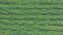 DMC Thread 700 - Prairie green